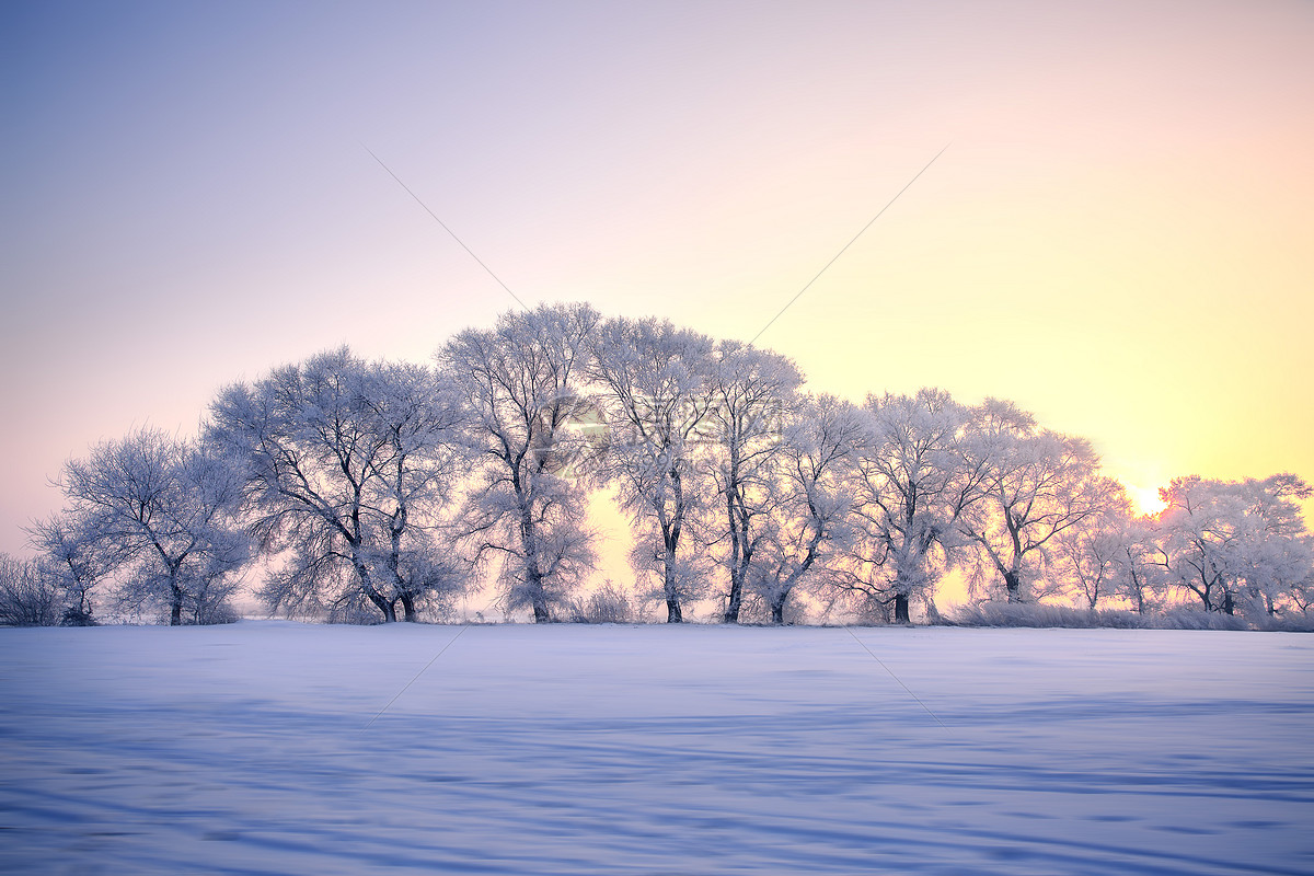 冬日暖阳高清图片下载-正版图片500386125-摄图网