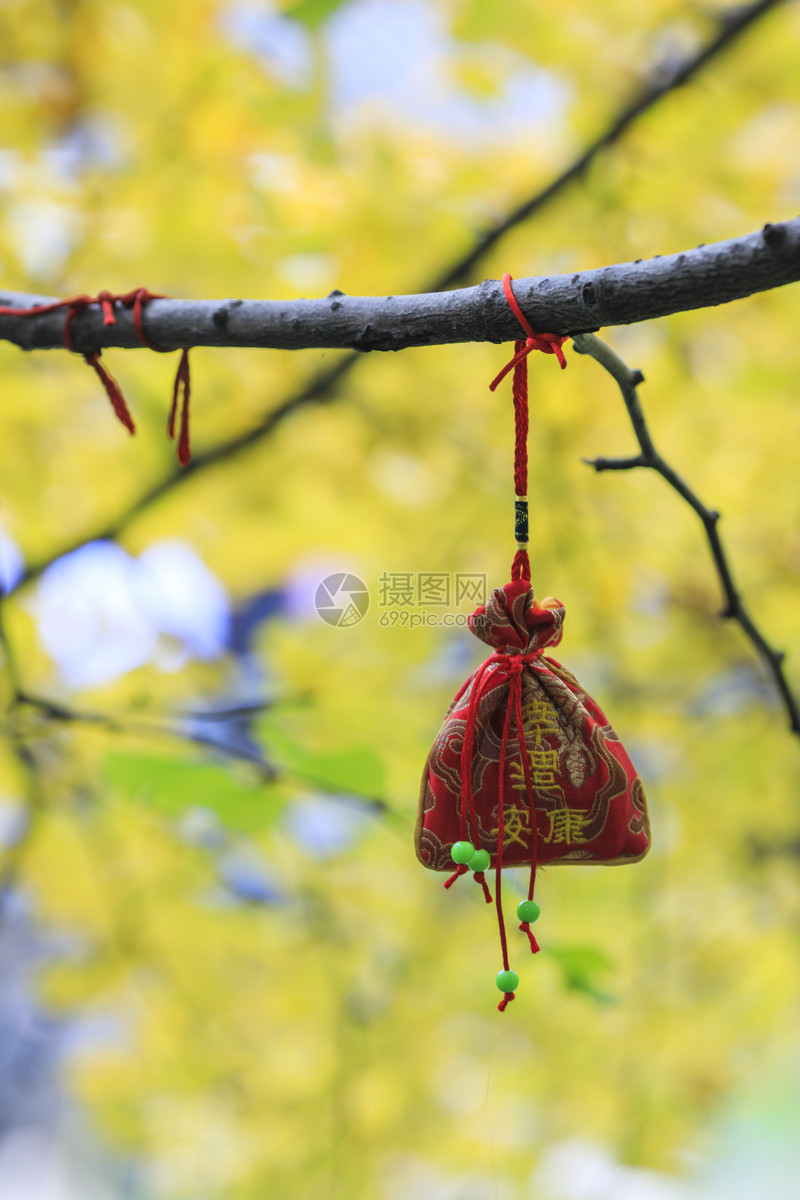 新年祈福许愿