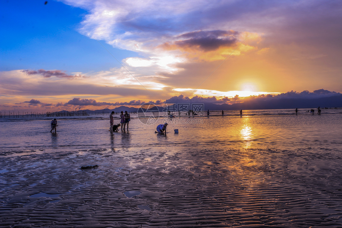 举报 标签: 人物剪影太阳日落海水海滩海边阳江闸坡海滩夏天日落人物