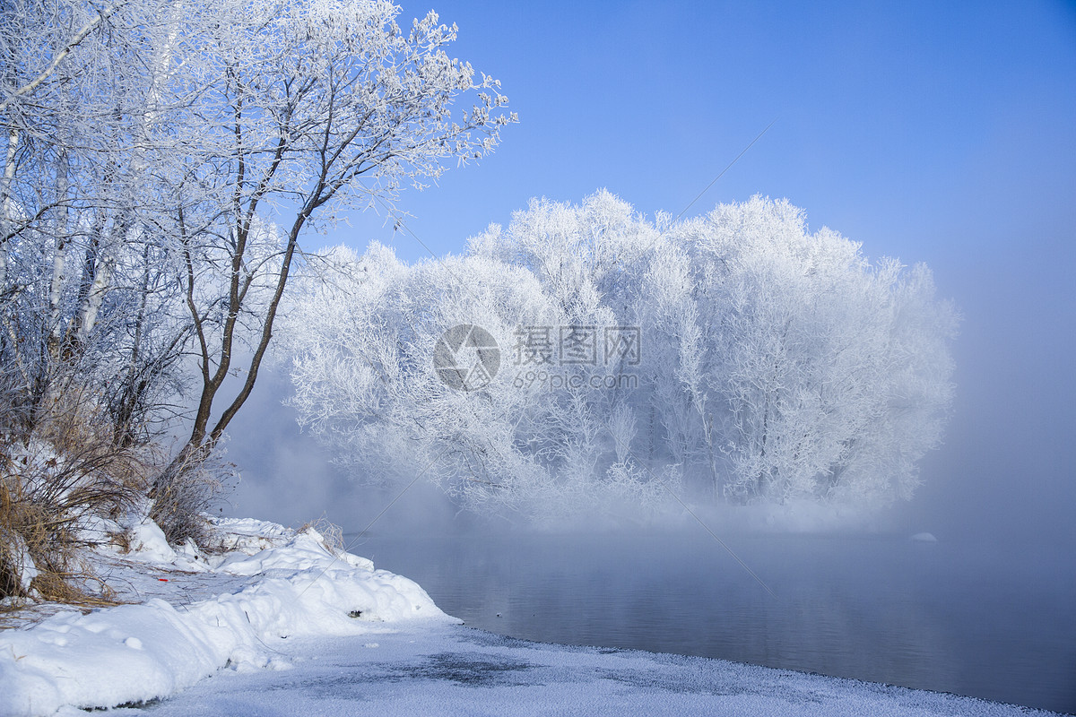 冬天,树,天空,森林,优美的冬季雪景桌面壁纸_高清风景壁纸_彼岸桌面