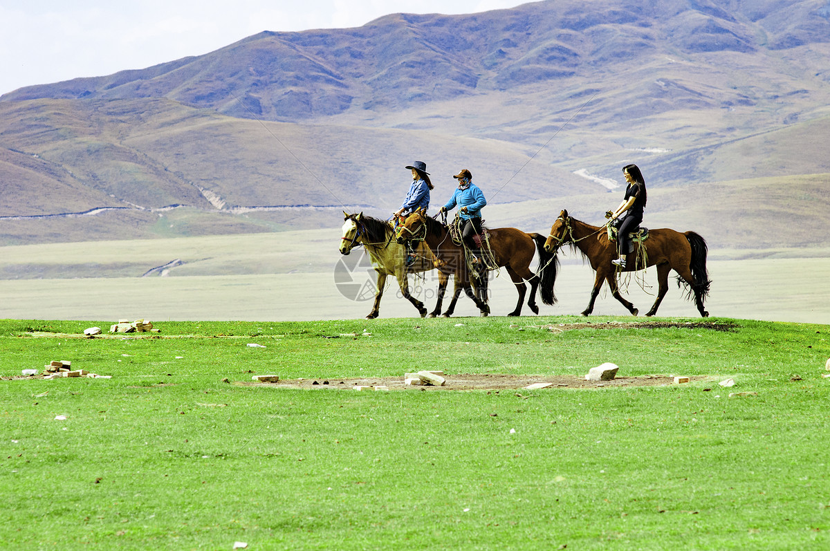 新疆草原骑马旅行
