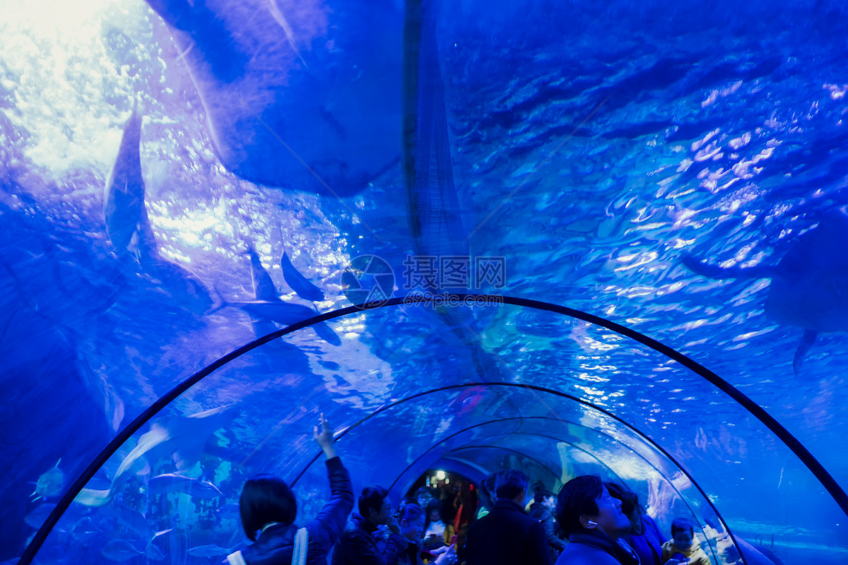 水族馆海底世界