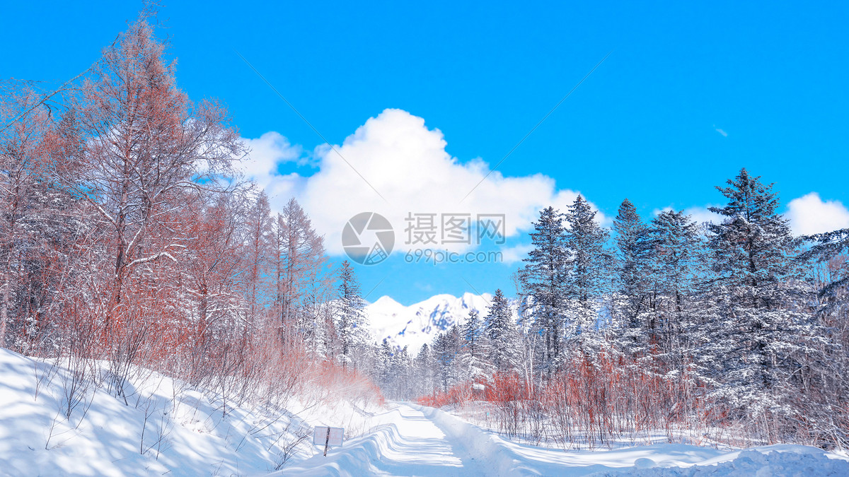 东北雪