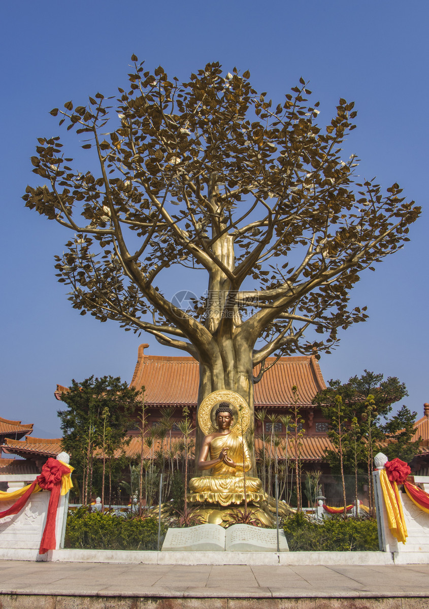 花瓣 举报 标签: 佛教古典建筑大教堂寺庙庭院楼阁菩提古树释迦牟尼