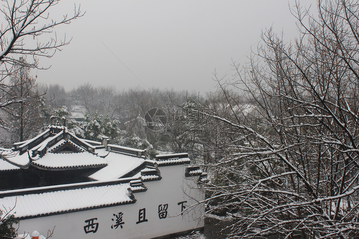 杭州西溪湿地冬季雪景