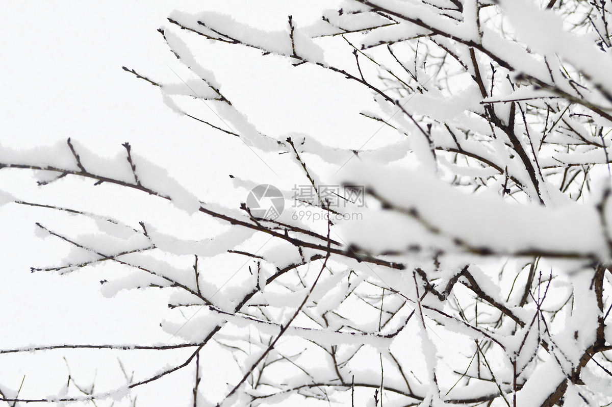 照片 自然风景 下雪了jpg  分享: qq好友 微信朋友圈 qq空间 新浪微博