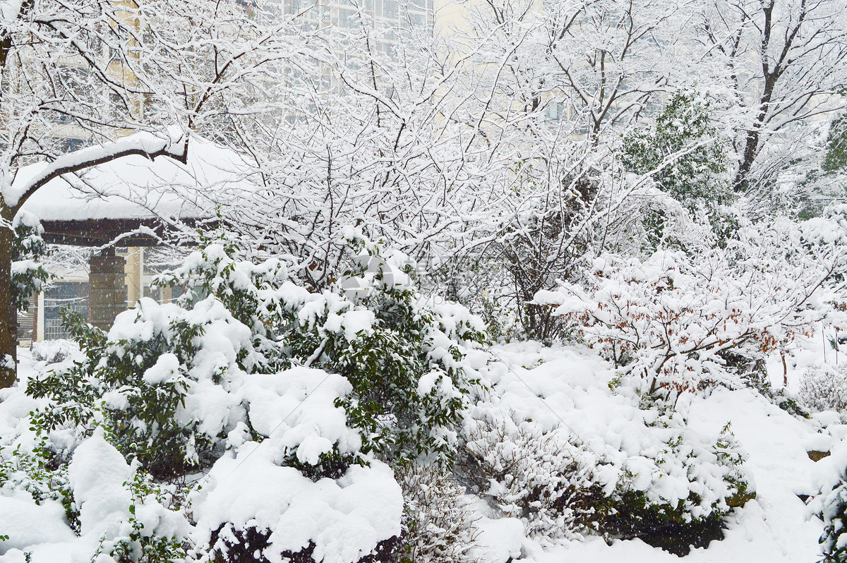 照片 自然风景 下雪了jpg  分享: qq好友 微信朋友圈 qq空间 新浪微博