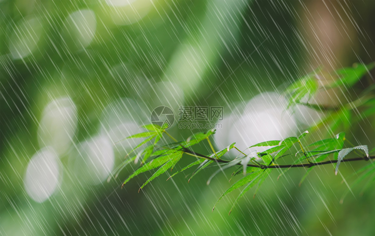 春天的雨水