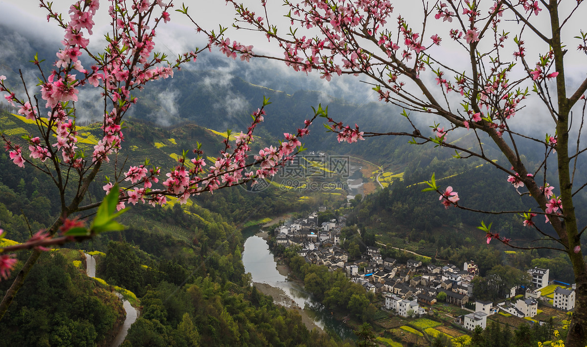 春天江南盛开的桃花与油菜花田