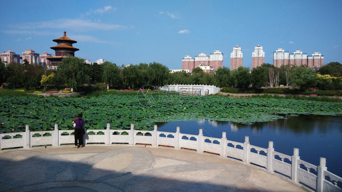 长春劳动公园风景