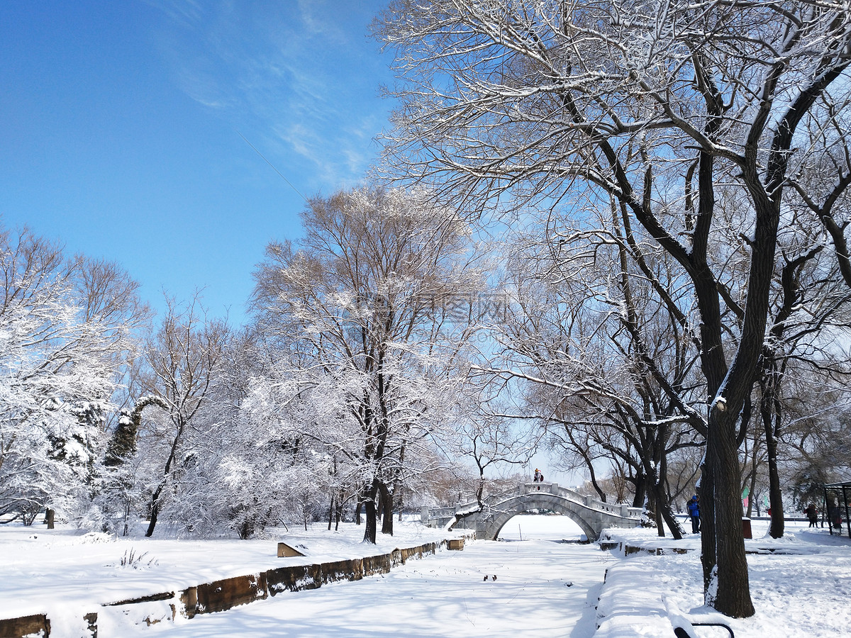 沈阳北陵公园雪景