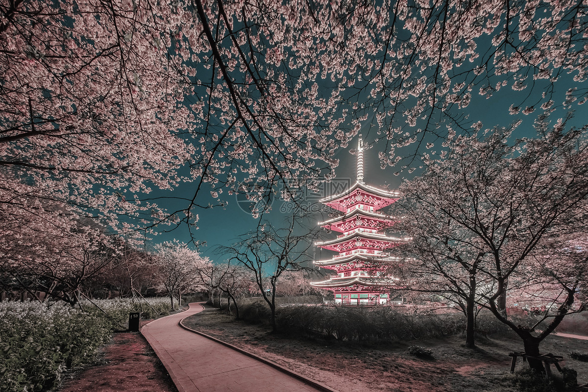 castle, Asian architecture, Cherry blossom, Landscape, Himeji Castle HD ...