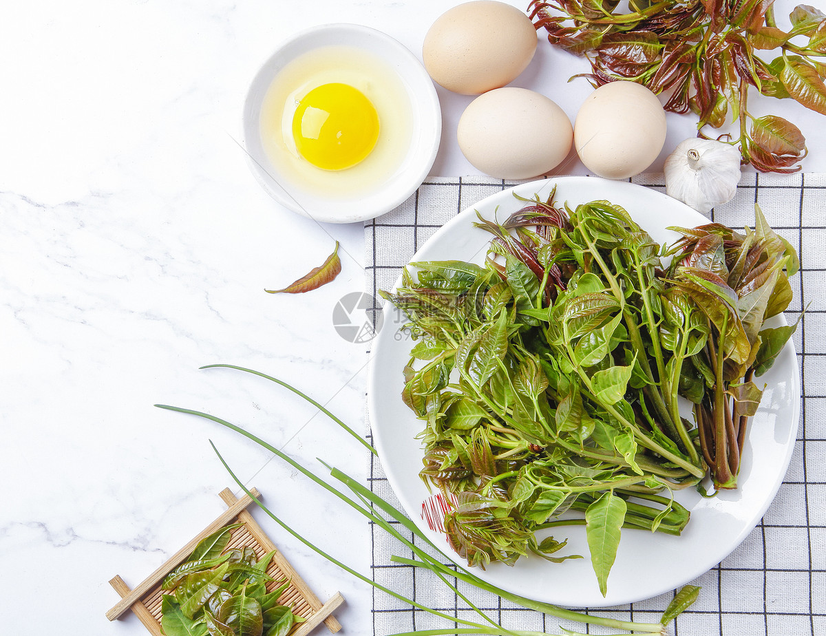 东北特色山野菜“刺嫩芽”，配鸡蛋炒着吃，营养丰富，鲜香味美_哔哩哔哩_bilibili