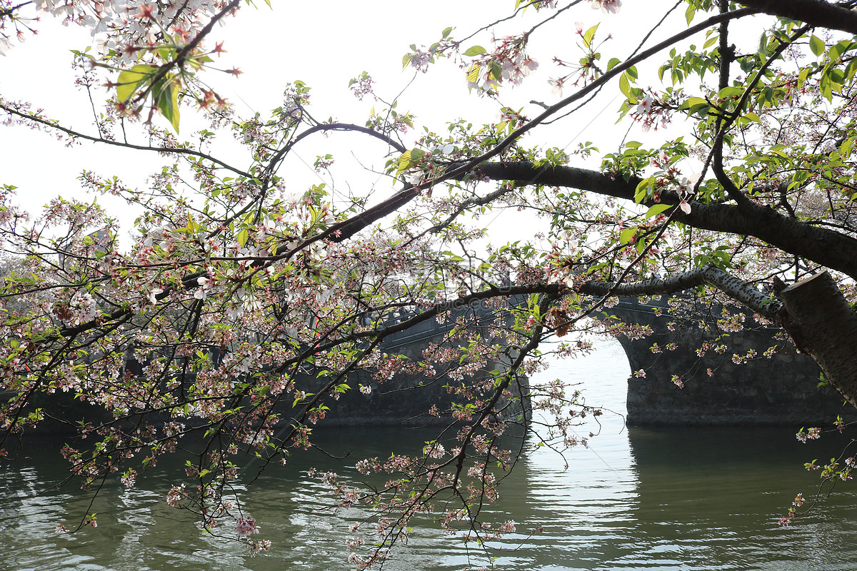 照片 自然风景 小桥流水.