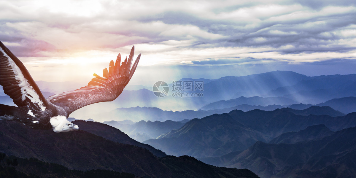 雄鹰
