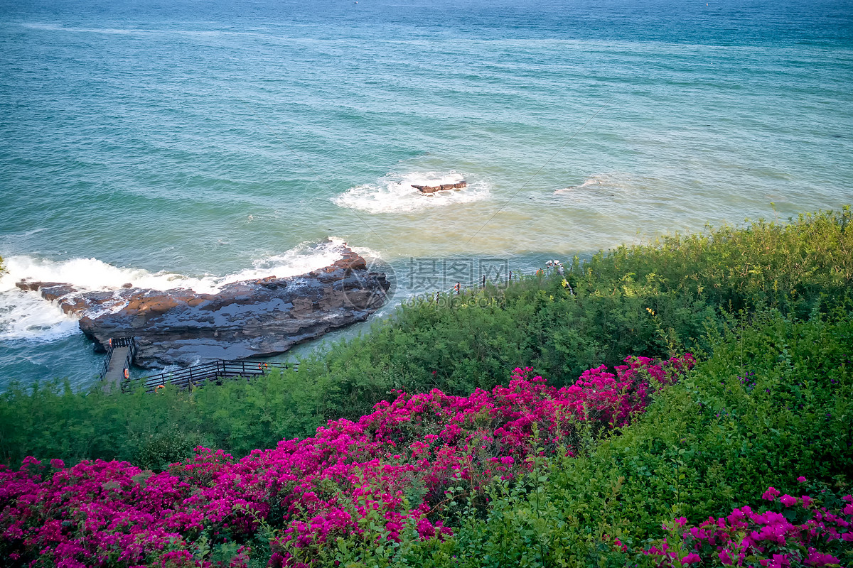 照片 自然风景 海边拍打礁石的浪花与鲜艳的花朵.