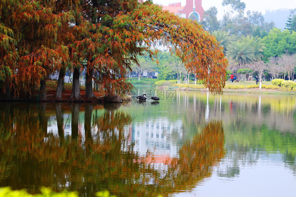 初春的厦门大学