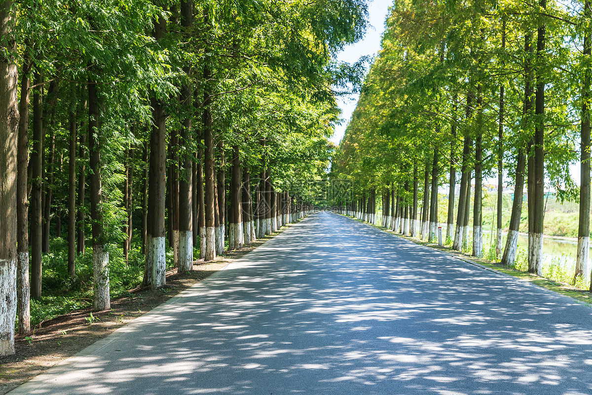 阳光下的路面