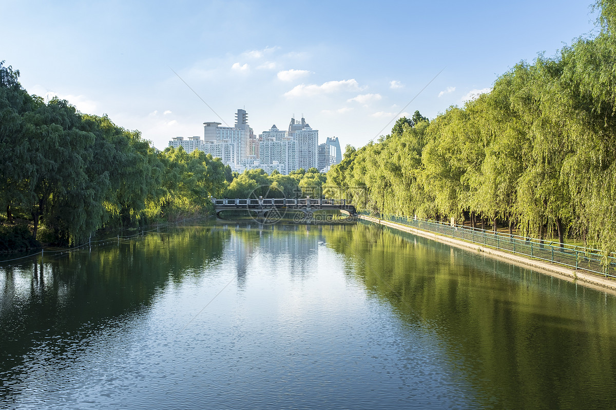 照片 自然风景 上海世纪公园风光.