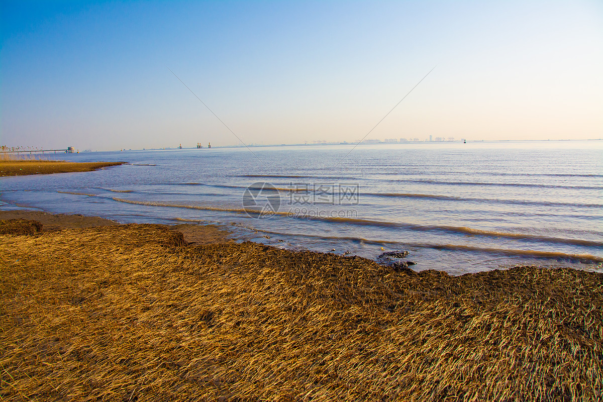 上海崇明西滩湿地公园