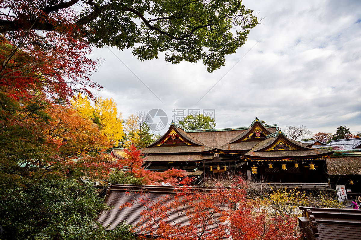 日本京都天龙寺风景