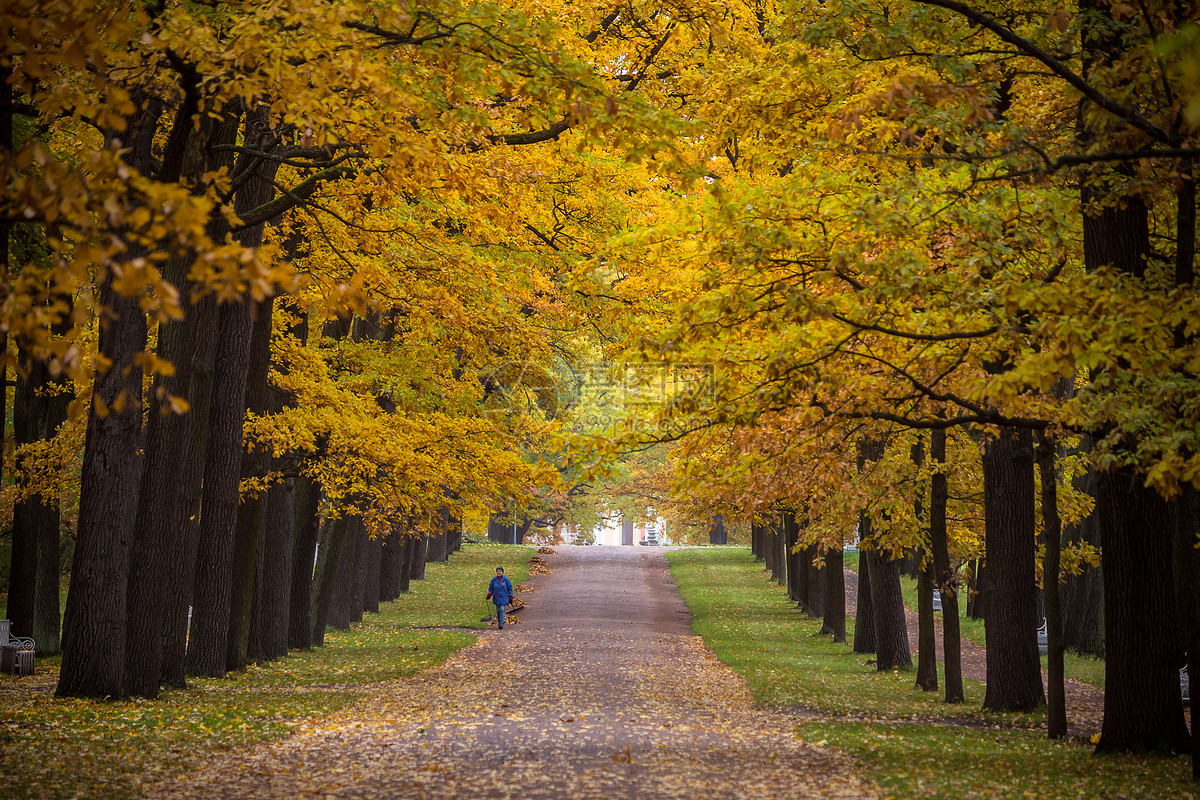 图片 照片 自然风景 俄罗斯秋季最美的皇家园林叶卡捷琳娜宫花园秋色.