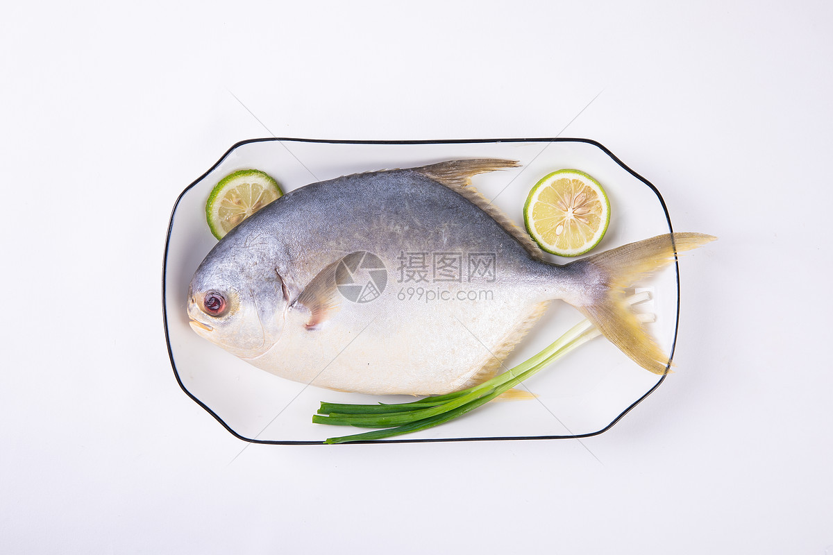 金鲳鱼