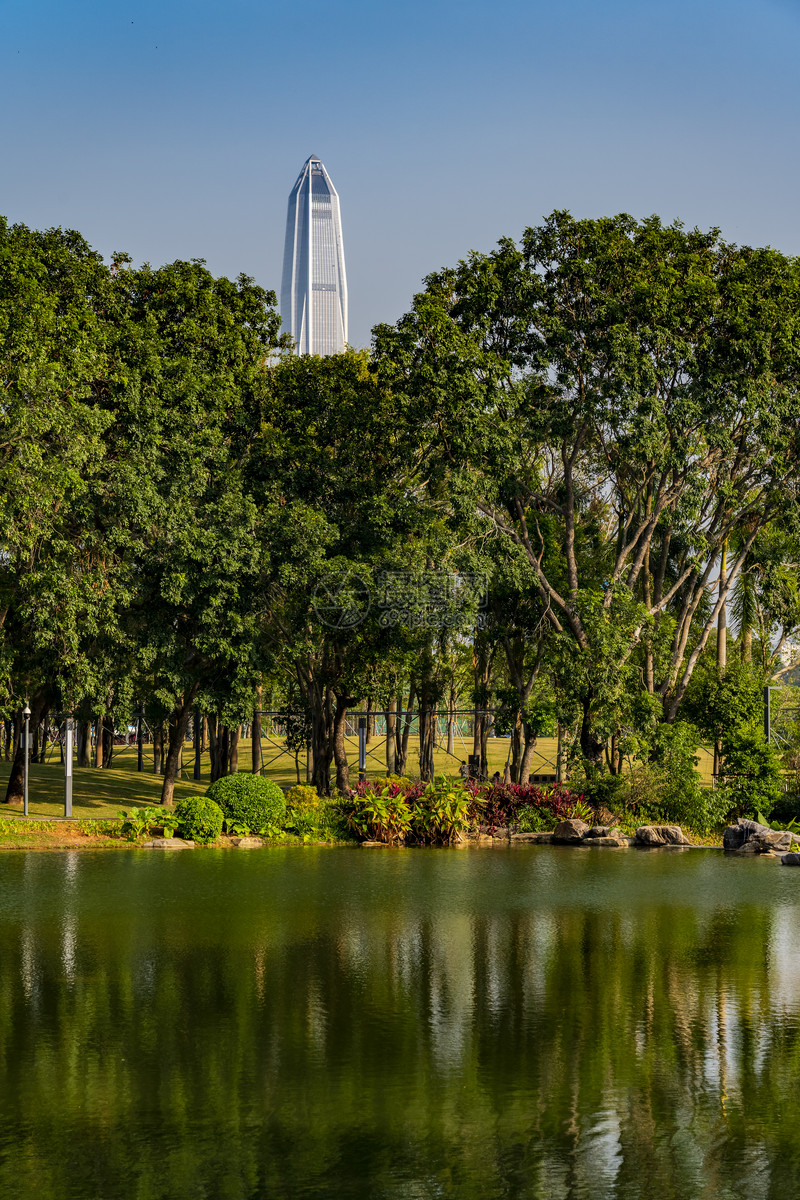 照片 自然风景 深圳香蜜公园之湖.