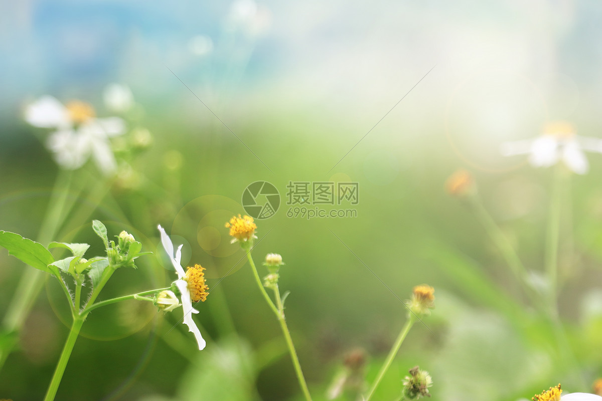 春天暖阳