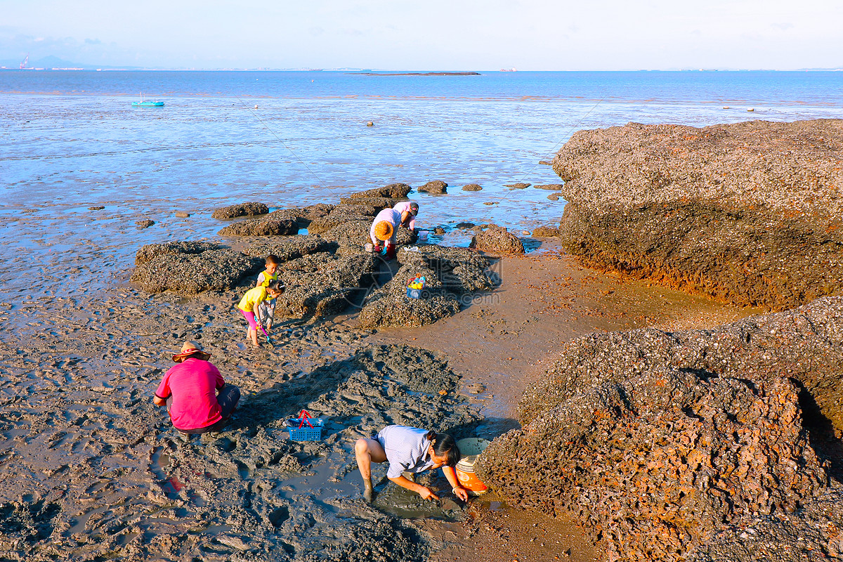 海边沙滩挖蛤蜊