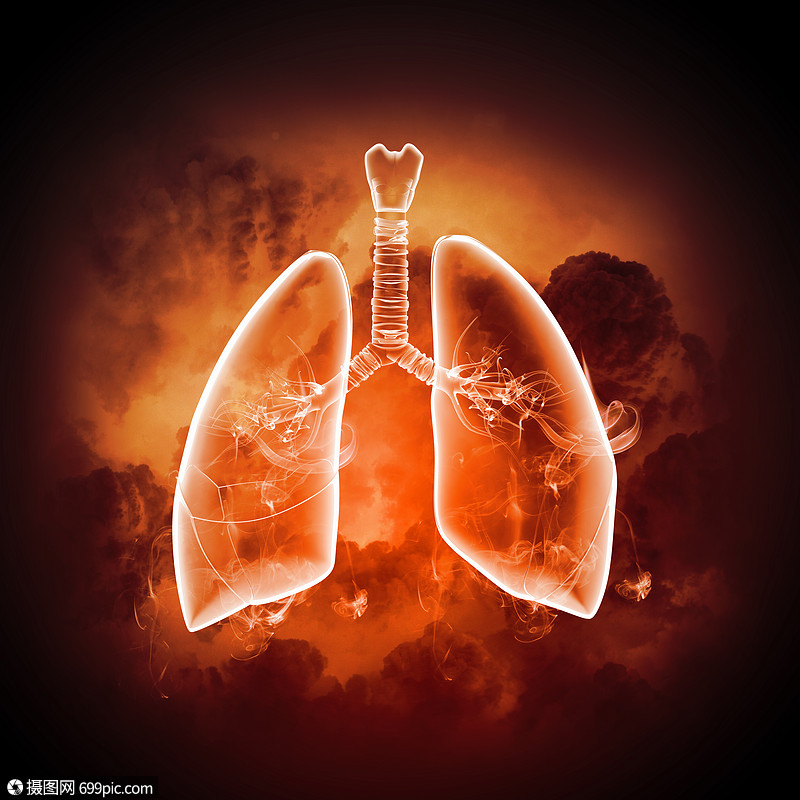 人类肺的示意图彩色背景上同元素的人类肺的示意图拼贴胸部卡通