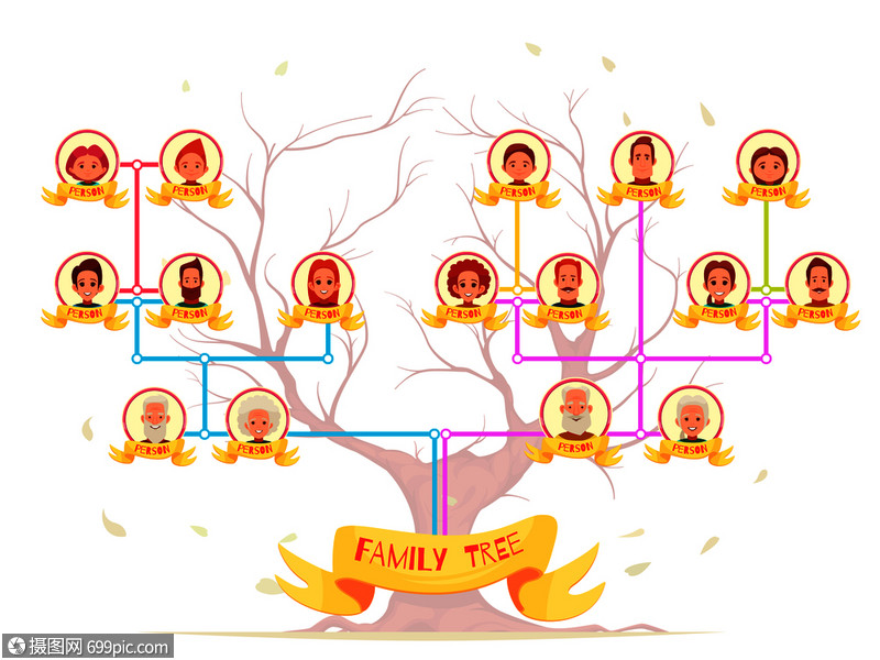 家族家谱信息图的亲属与颜色连接线树背景卡通矢量插图家族树信息图像