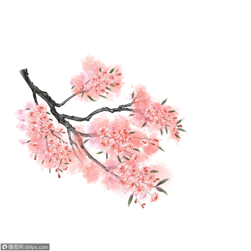 花枝一枝花花枝图片