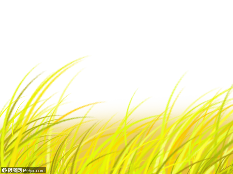 手绘小满麦浪png免抠素材卡通麦浪麦浪插画