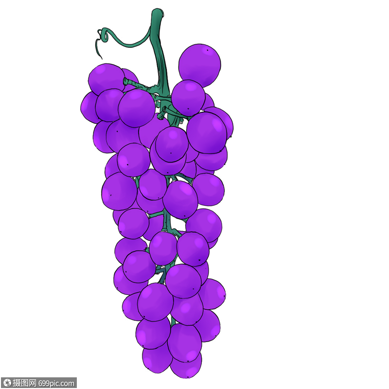 紫葡萄水果紫色高清图片素材