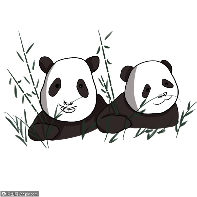 两只正在吃竹子的熊猫