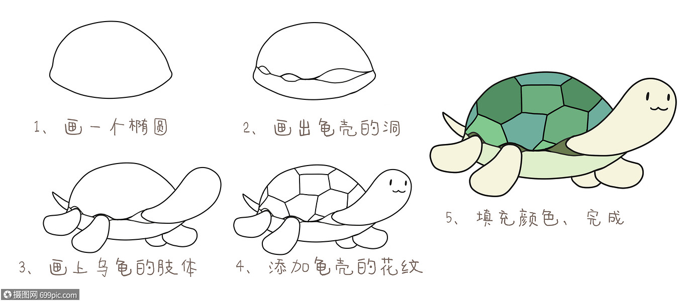 小乌龟简笔画教程画画儿童