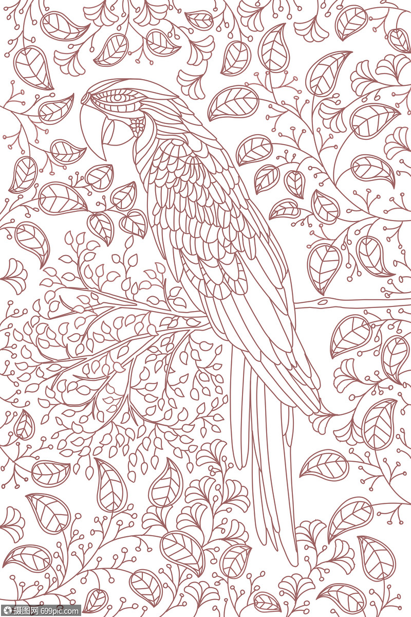 秘密花园之鹦鹉填色游戏简笔画填色涂色