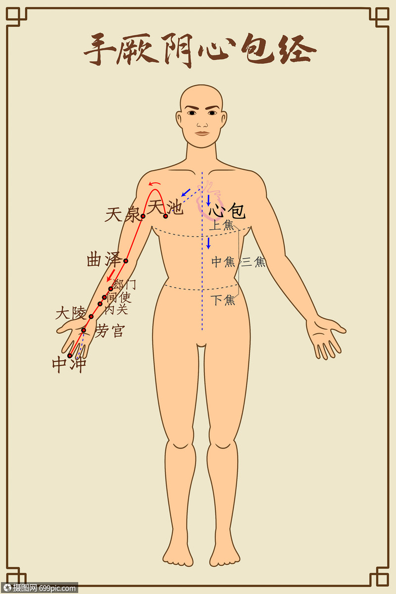 手厥阴心包经及穴位经脉医学