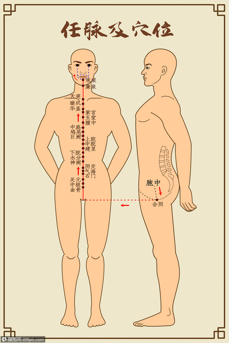 任脉及穴位中医经络图