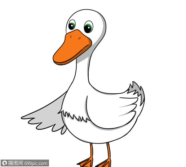 白色卡通手绘鸭子