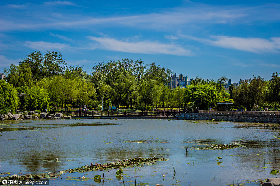 天津水上公园风景天津风景风光