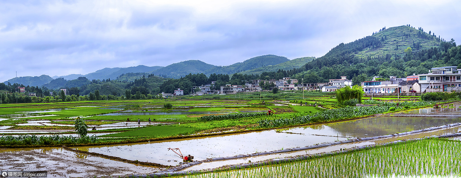 田园美景贵州省谷雨