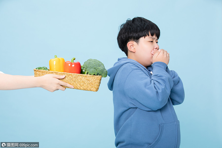 不爱吃蔬菜的小孩挑食的人