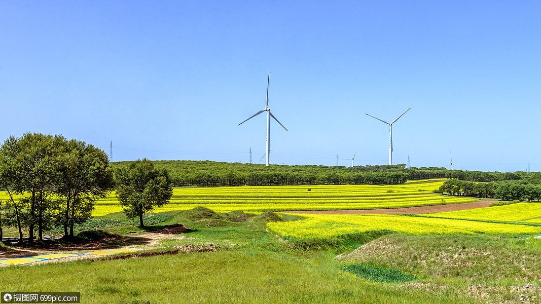 内蒙古农田夏季景观生态春分