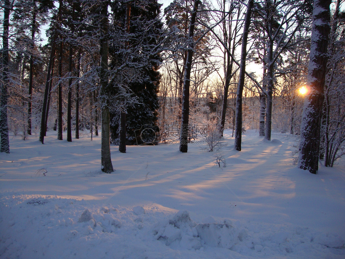 唯美圖片 自然風景 雪地裡的日出jpg