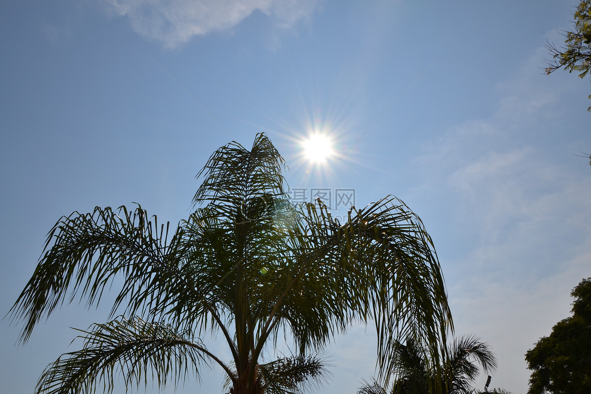 太陽圖片