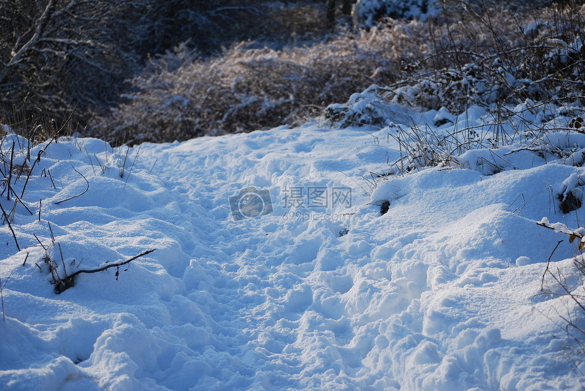 白雪地的景色