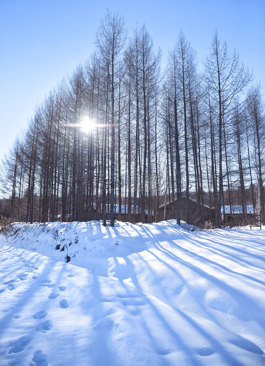 雪景图片素材_免费下载_jpg图片格式_vrf高清图片500219445_摄图网