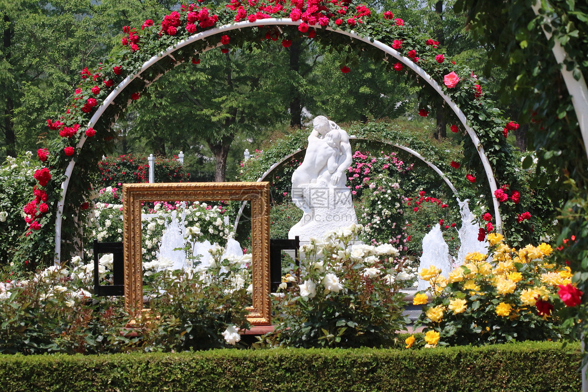 图片 照片 自然风景 玫瑰花园.jpg